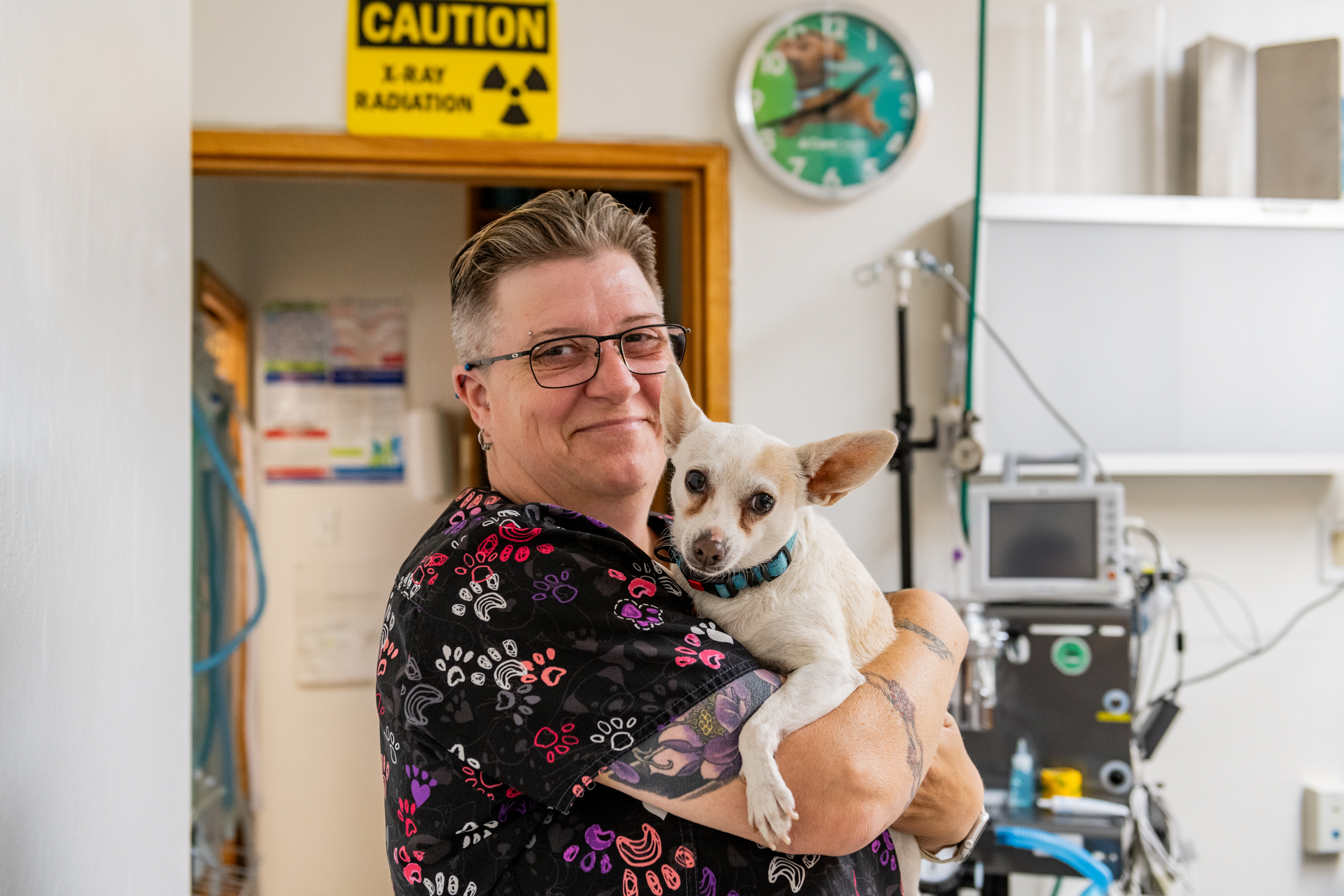 Dr. Andrew Lie | Codornices Veterinary Clinic